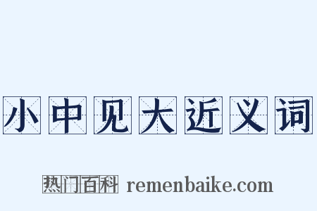 小中见大近义词是什么意思的图片